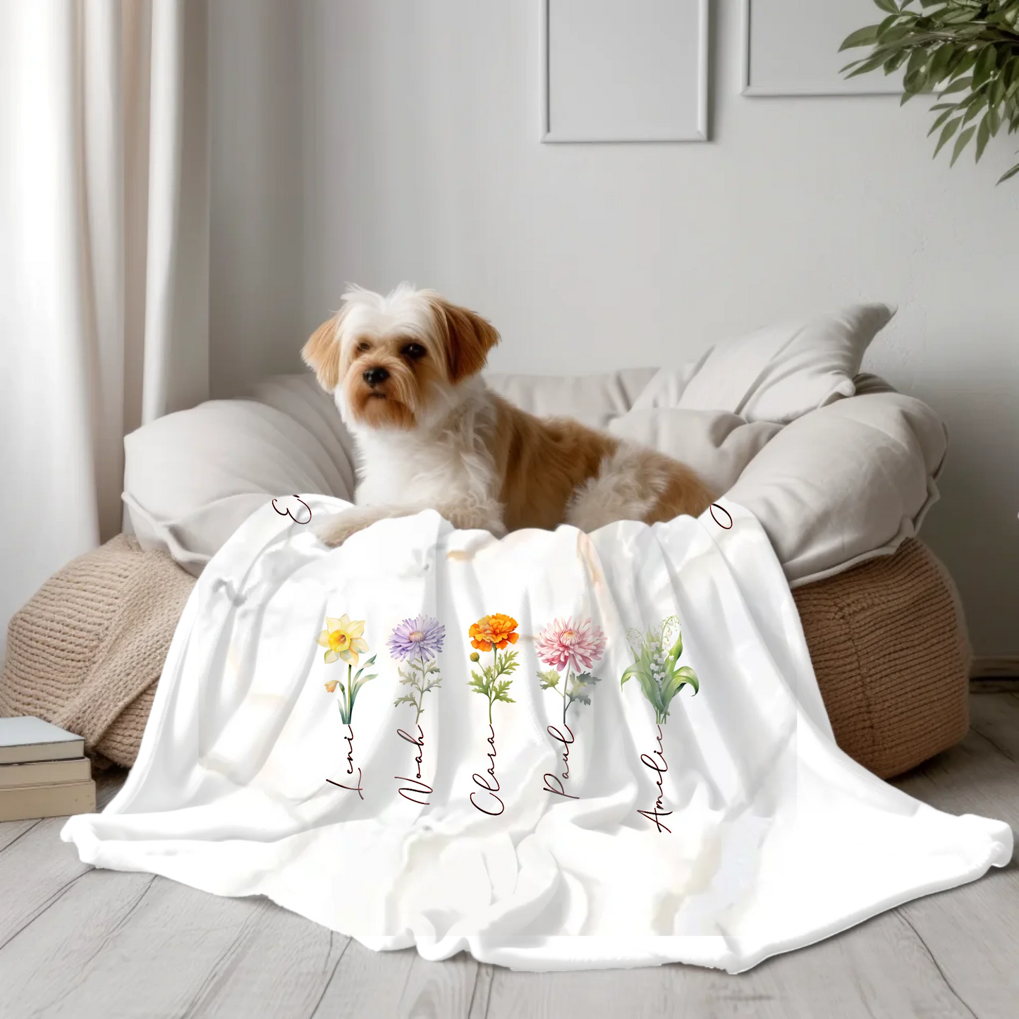 Transparent Blanket(Canva)