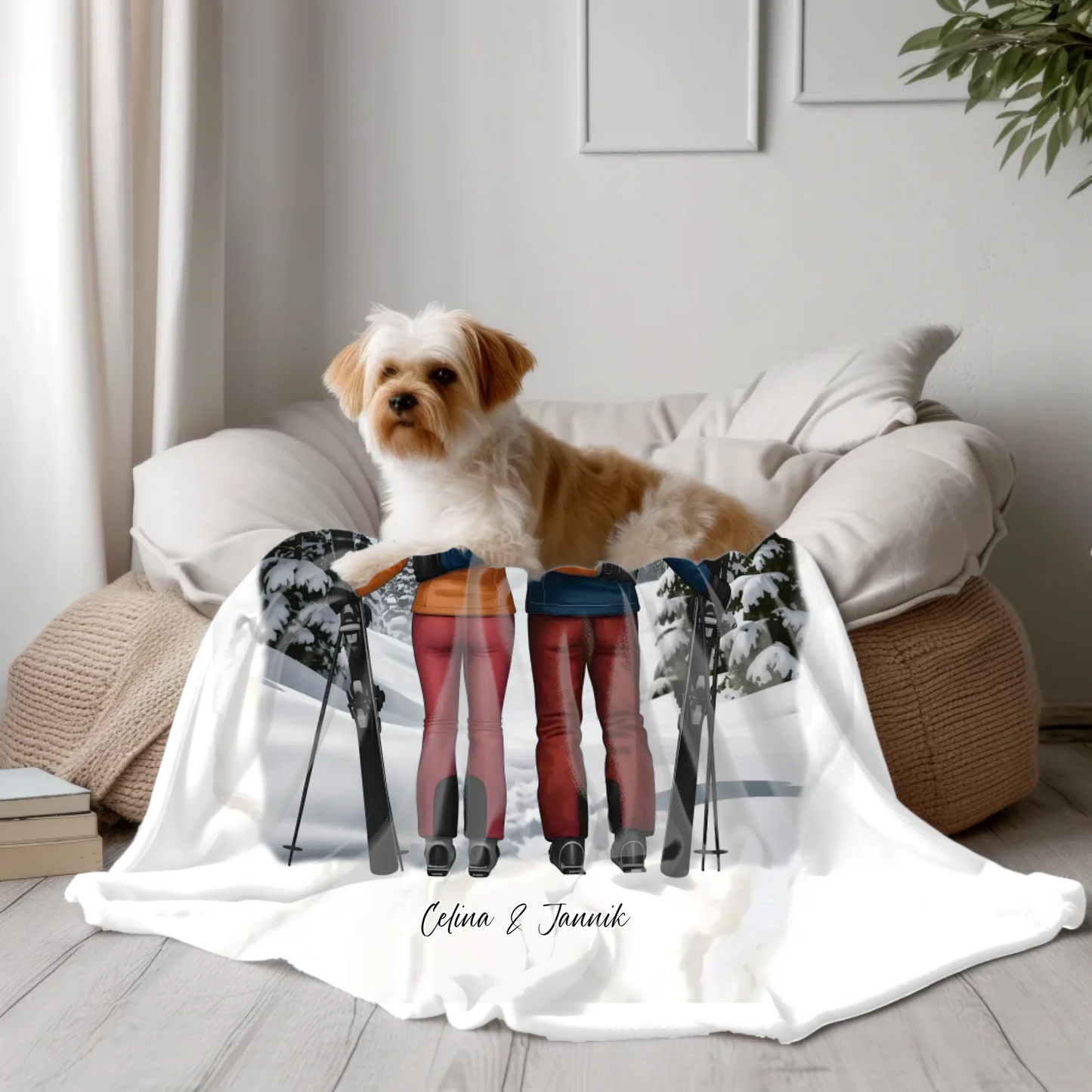 Transparent Blanket(Canva)